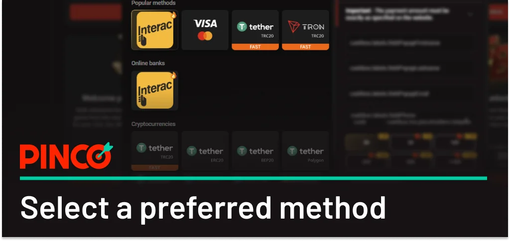 Select a preferred payment method on Pinco